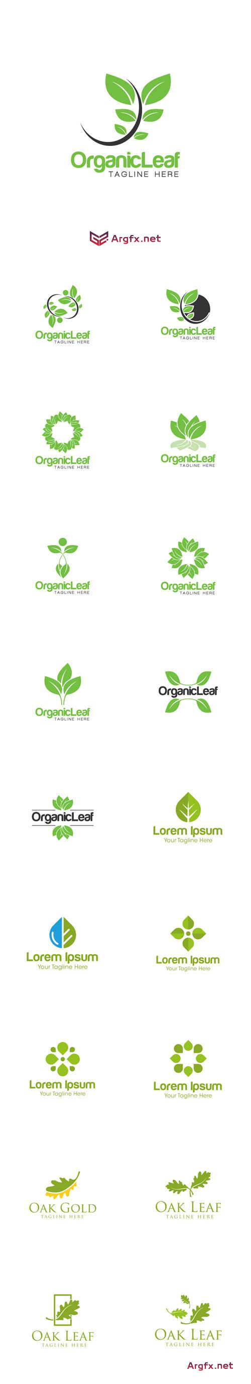 Vector Organic Leaf Creative Logo Design