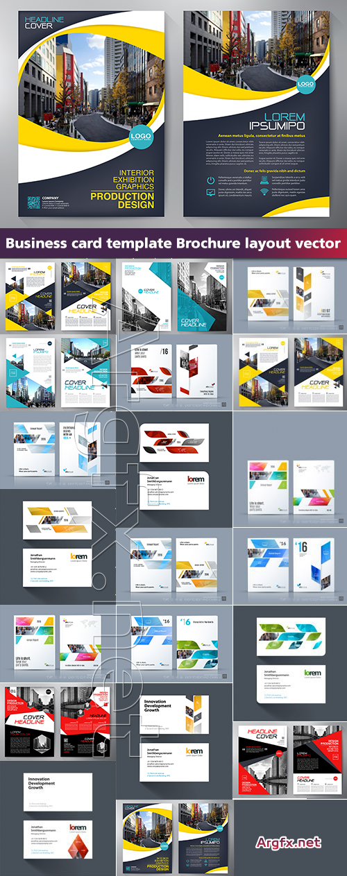  Business card template Brochure layout vector