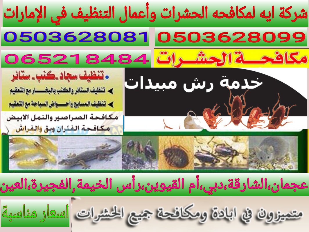 شركة تنظيف في دبي  (٣٠٪حصريا )0503628081  شركة مكافحة حشرات في دبي P_10956dbe61