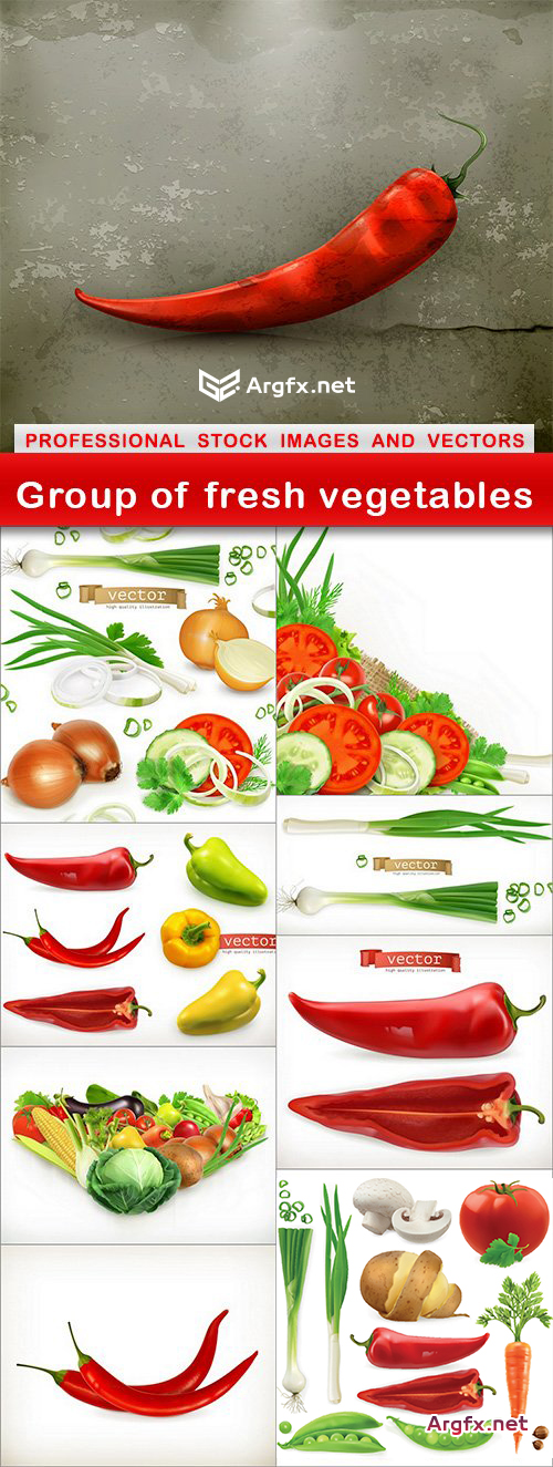  Group of fresh vegetables - 9 EPS