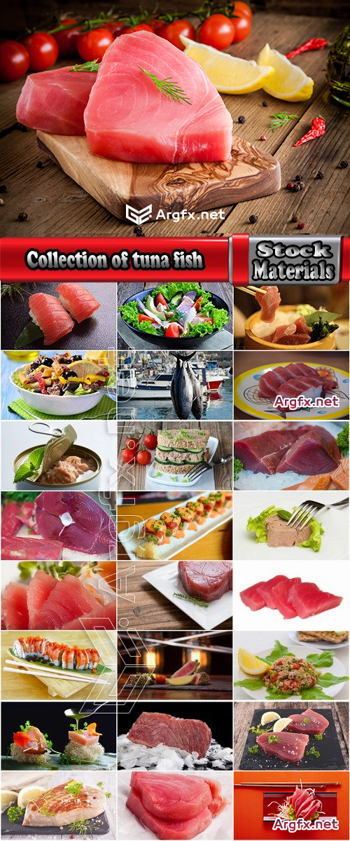 Collection of tuna fish salad dish cooked meal 25 HQ Jpeg
