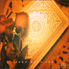 Holy Quran ||ᵗʰᵉ ᵇᵉˢᵗ P_529z3fzh5