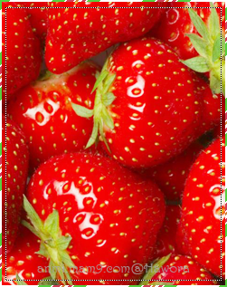 Strawberries  | الفرآولهہ 33> موضوع مميز _ P_665xczcb2