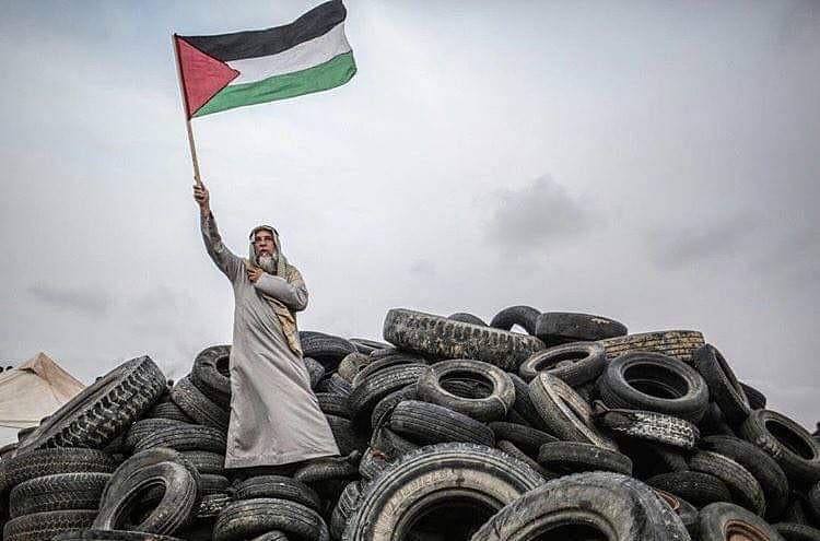 مسن يحمل علم فلسطين